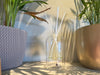 A summer home fragrance scene with a Kameo Profumati reed diffuser, natural light, green plant details and a soft interior setting.