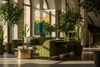Hotel lobby lounge with green sofa, indoor plants, and warm afternoon sunlight.