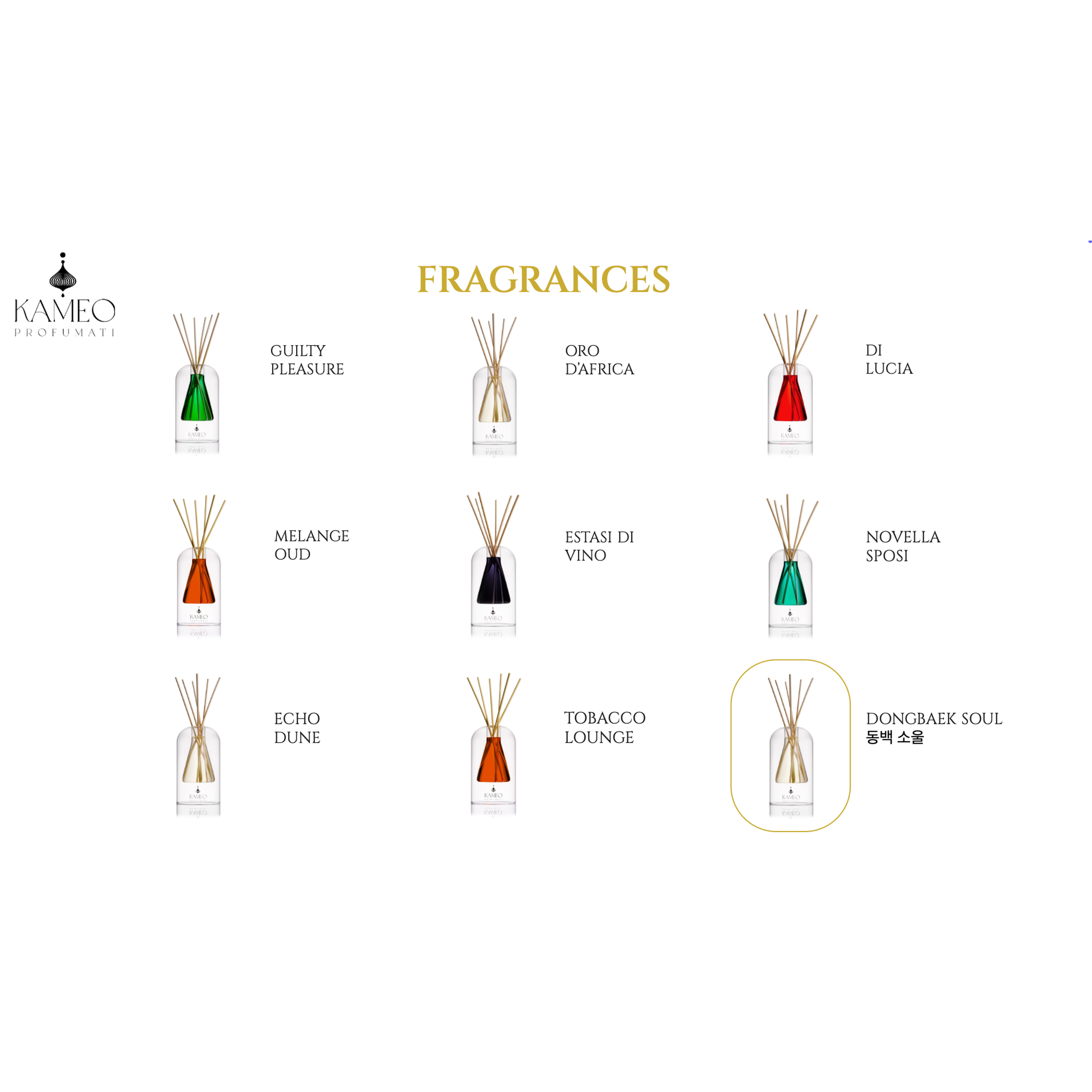 Refill Kameo Profumati Dongbaek Soul 동백 소울 250 ml