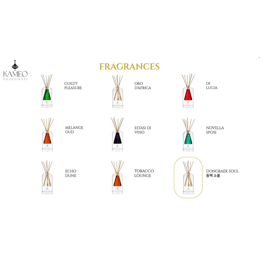 Refill Kameo Profumati Dongbaek Soul 동백 소울 250 ml