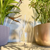 Reed Diffuser Kameo Profumati Echo Dune 250 ml