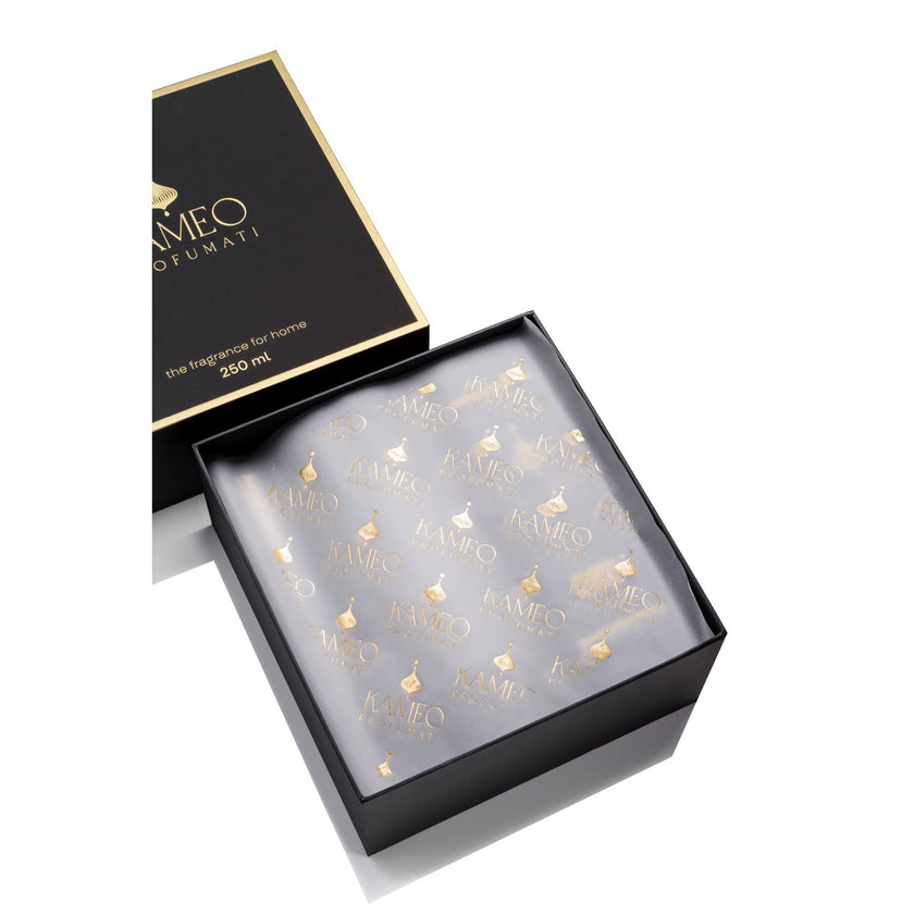 Kameo_Black_Box_Open_1