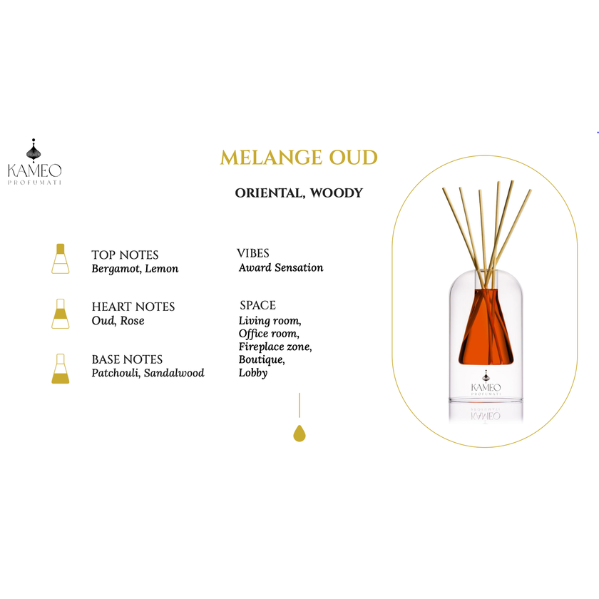 Reed Diffuser Kameo Profumati Melange Oud 250 ml