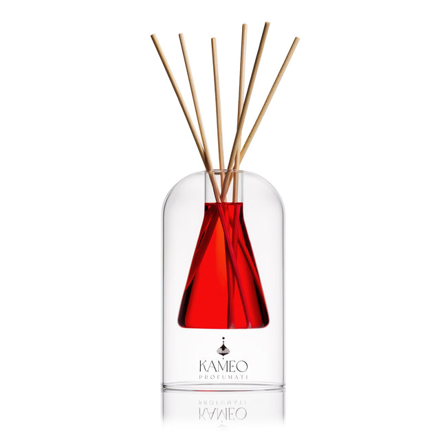 Reed Diffuser Kameo Profumati Melange Oud 250 ml
