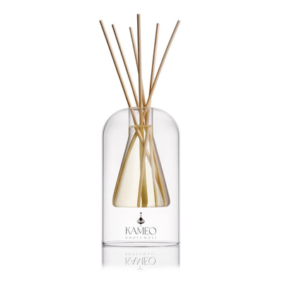 Reed Diffuser Kameo Profumati_flask 250